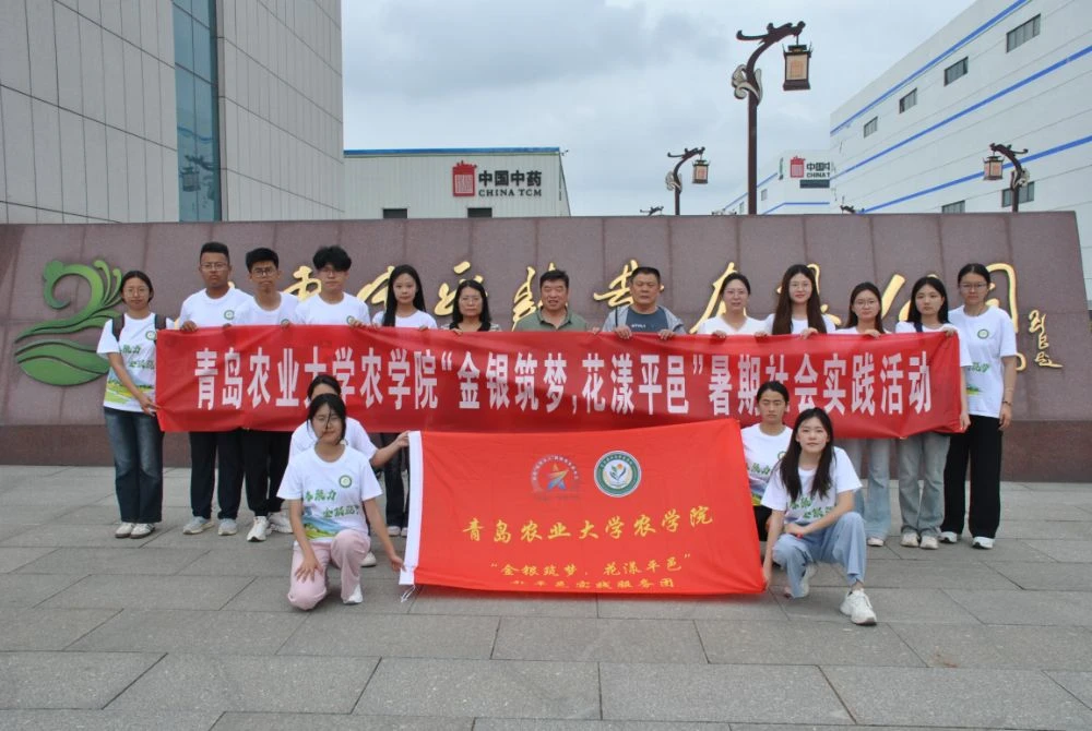图片1_compressed.webp