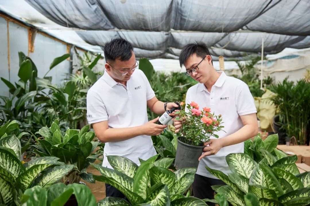 我在直播间教人养花，年入四千万