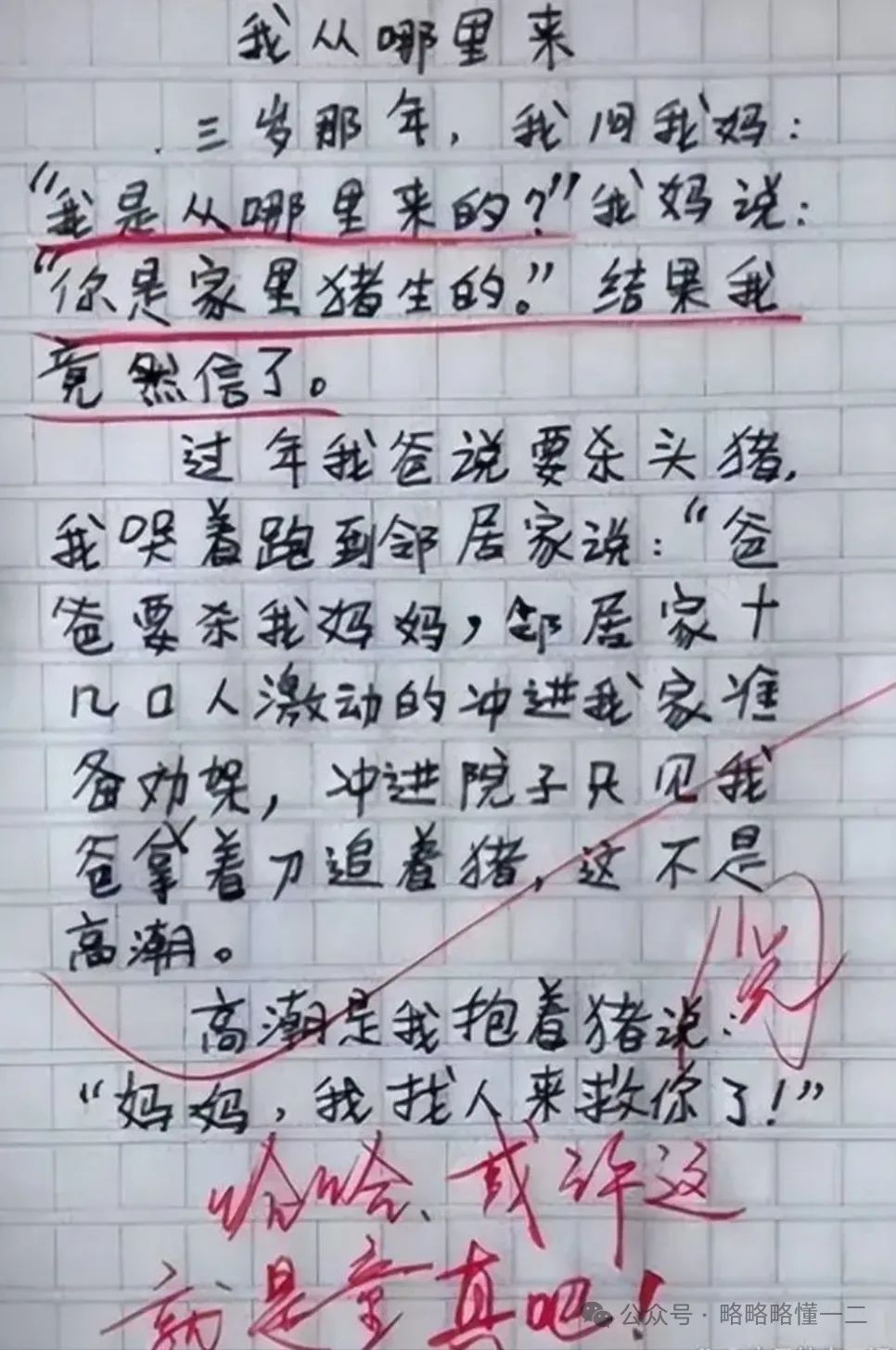 “我是猪生的”小学生作文笑翻了，语文老师：家长别老是骗孩子！