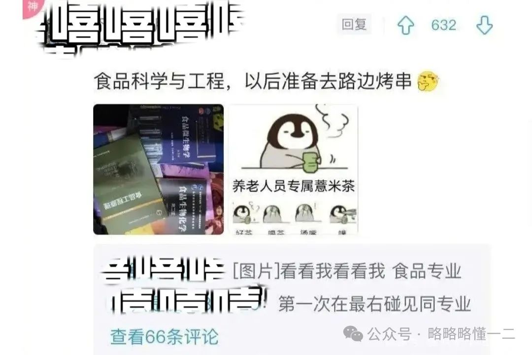 各专业的大学生毕业后要做什么？看完好笑又扎心，还能上山当野人