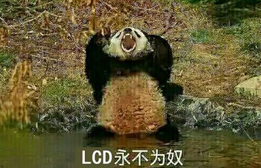 外卖抢单能加速！这 LCD 新机把我看傻了