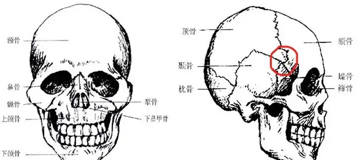 人类生理上有什么不合理之处？