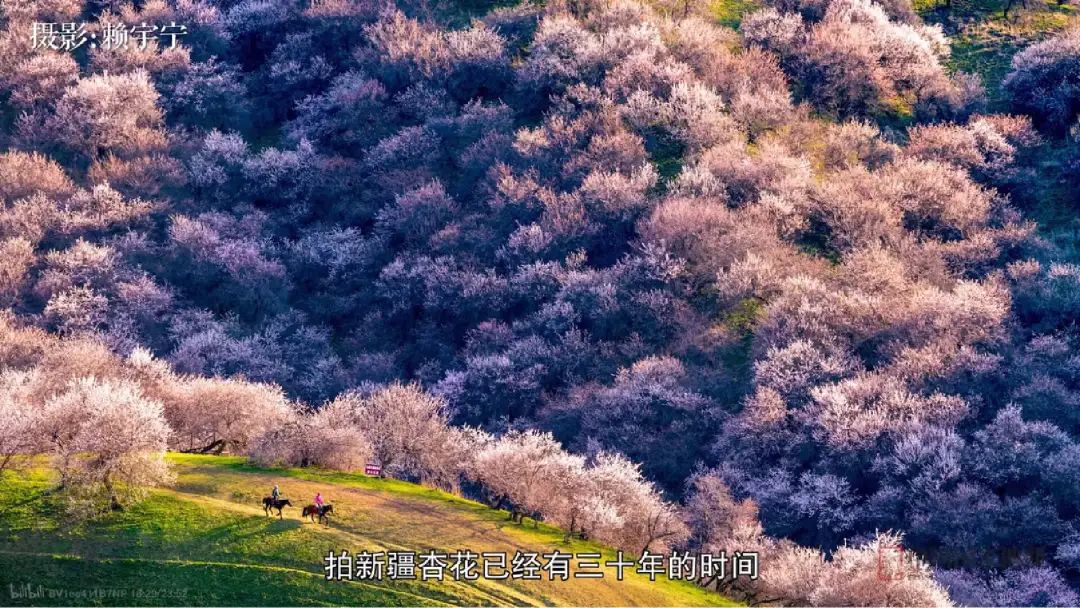 上班暂停，先跟UP主去趟阿勒泰