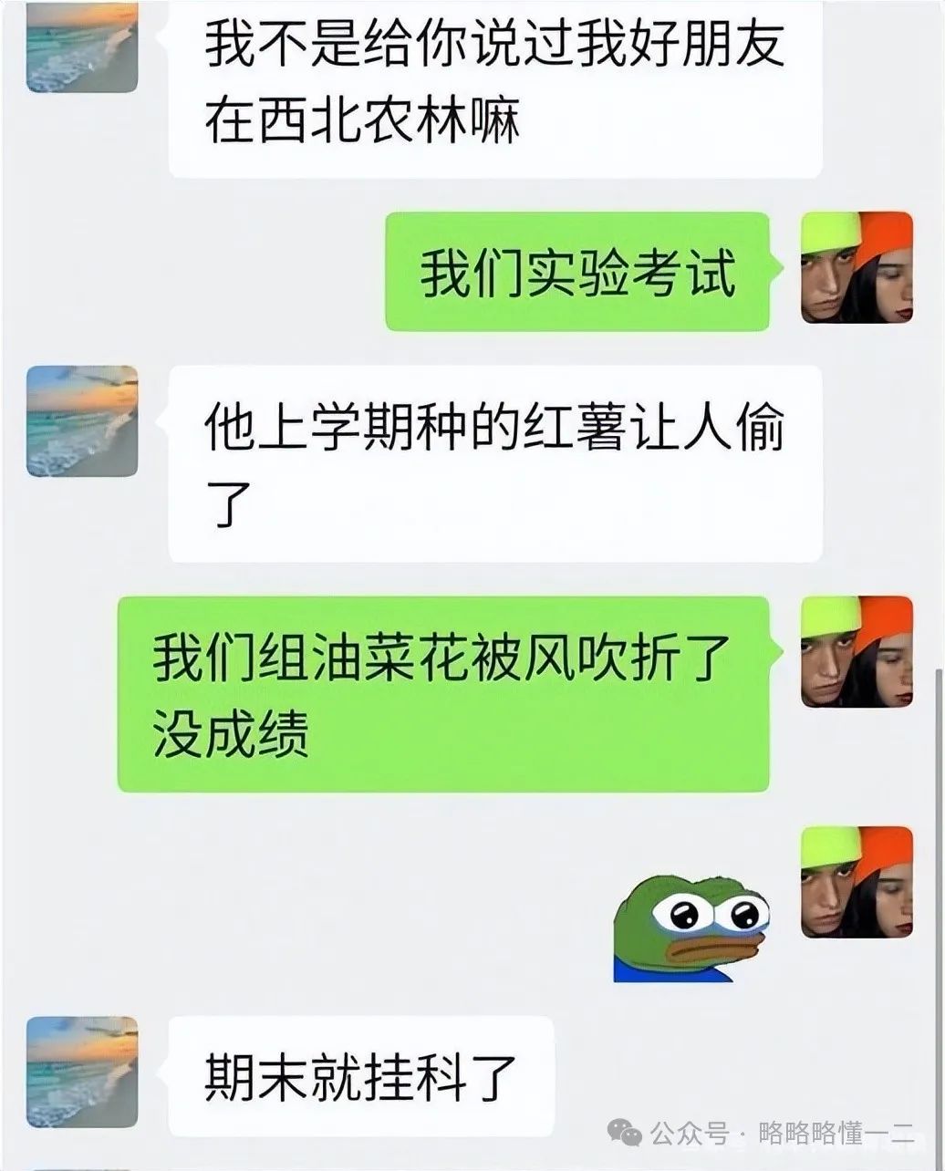 我的毕业论文被别人毕业论文吃了！农学生的崩溃瞬间，毕不了业了