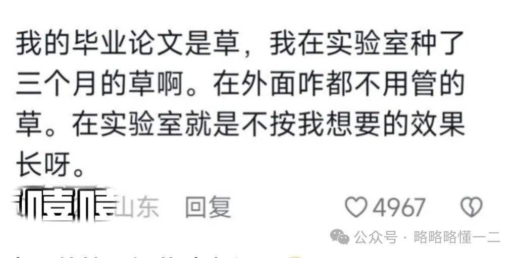 我的毕业论文被别人毕业论文吃了！农学生的崩溃瞬间，毕不了业了