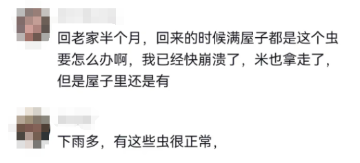 近期频发！头皮发麻，大量黑虫冒出......出现这种情况必须扔！