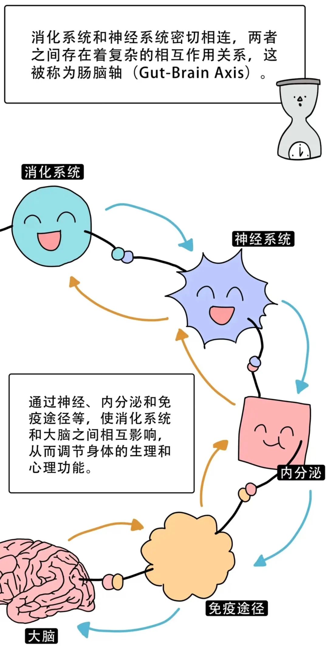 这个器官健康的人，不容易得抑郁症