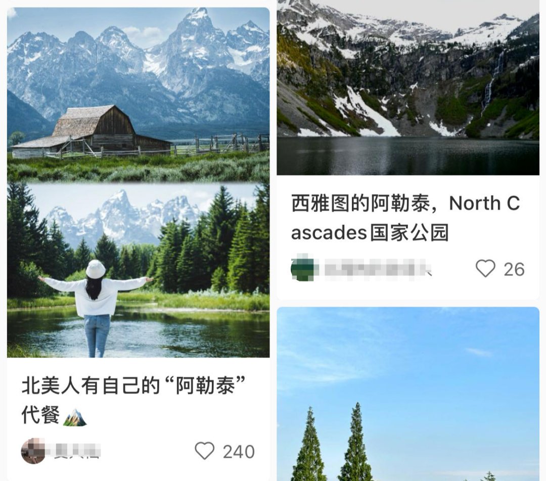 “山寨阿勒泰”，骗瘸了多少中产？