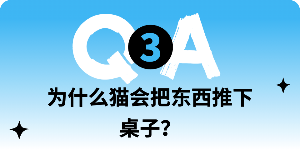 中国运动员竞走夺冠，肚脐贴能避免拉肚子？有法国运动员半路拉裤子上了……