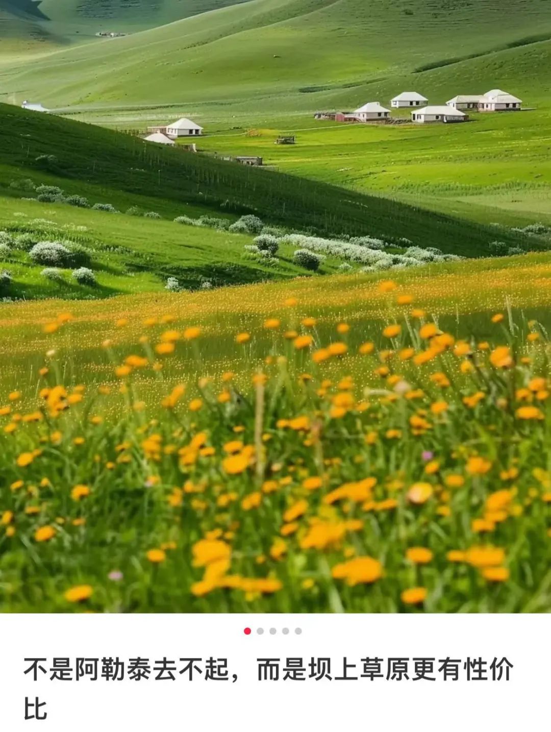 “山寨阿勒泰”，骗瘸了多少中产？