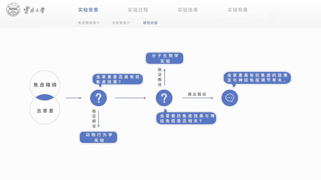 PPT最上面这个是啥？咋做的呀？