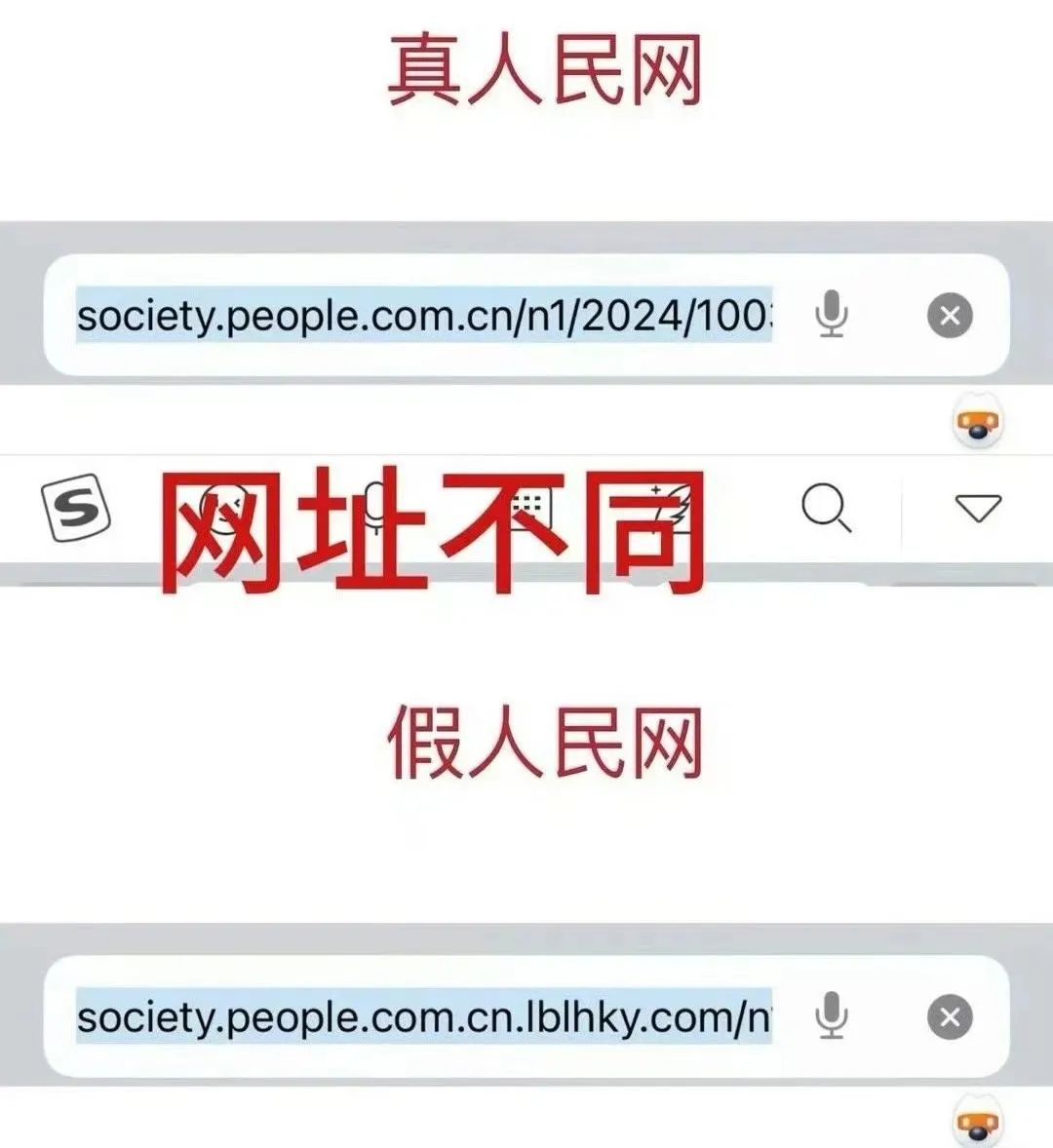 没有嫂子捧，内娱男星可怎么办呀