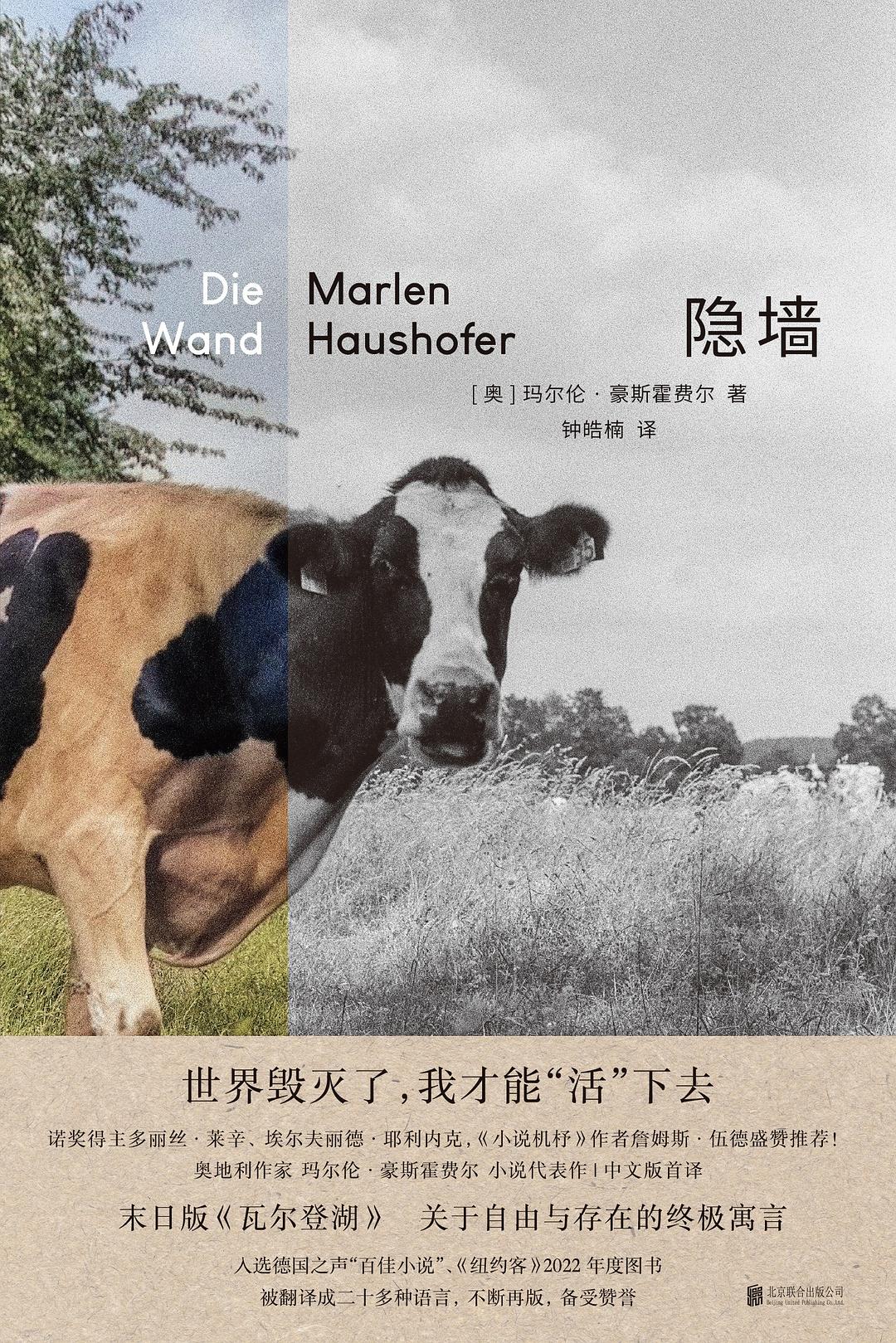 当世界退潮：在《隐墙》的孤岛困境中打捞存在之光