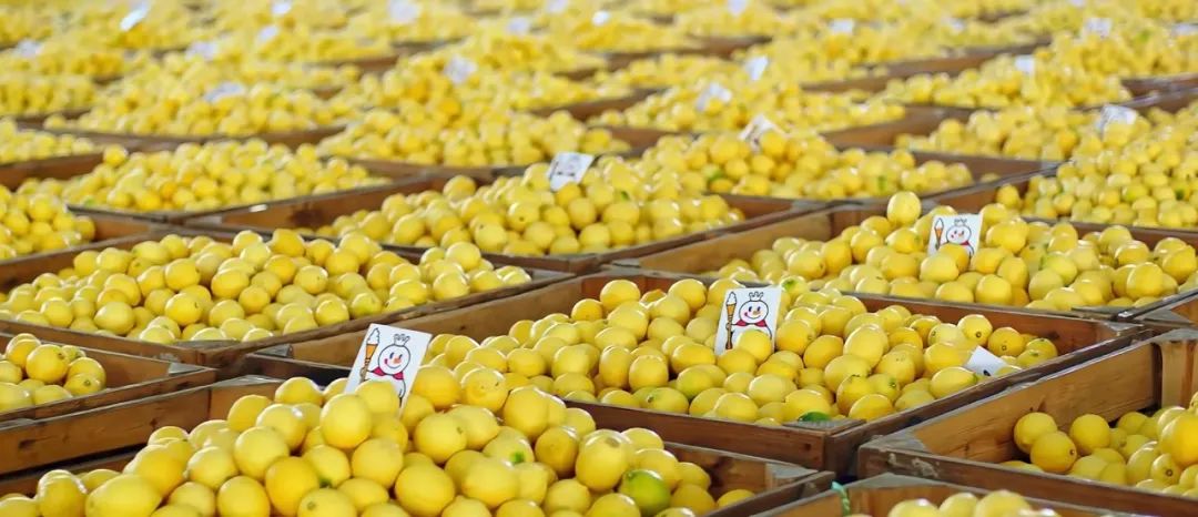 打工人的“续命水”，要涨价了？