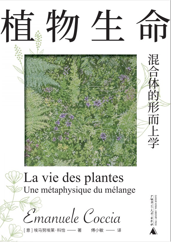 《植物生命：混合体的形而上学》：在枝叶间重思生命与世界