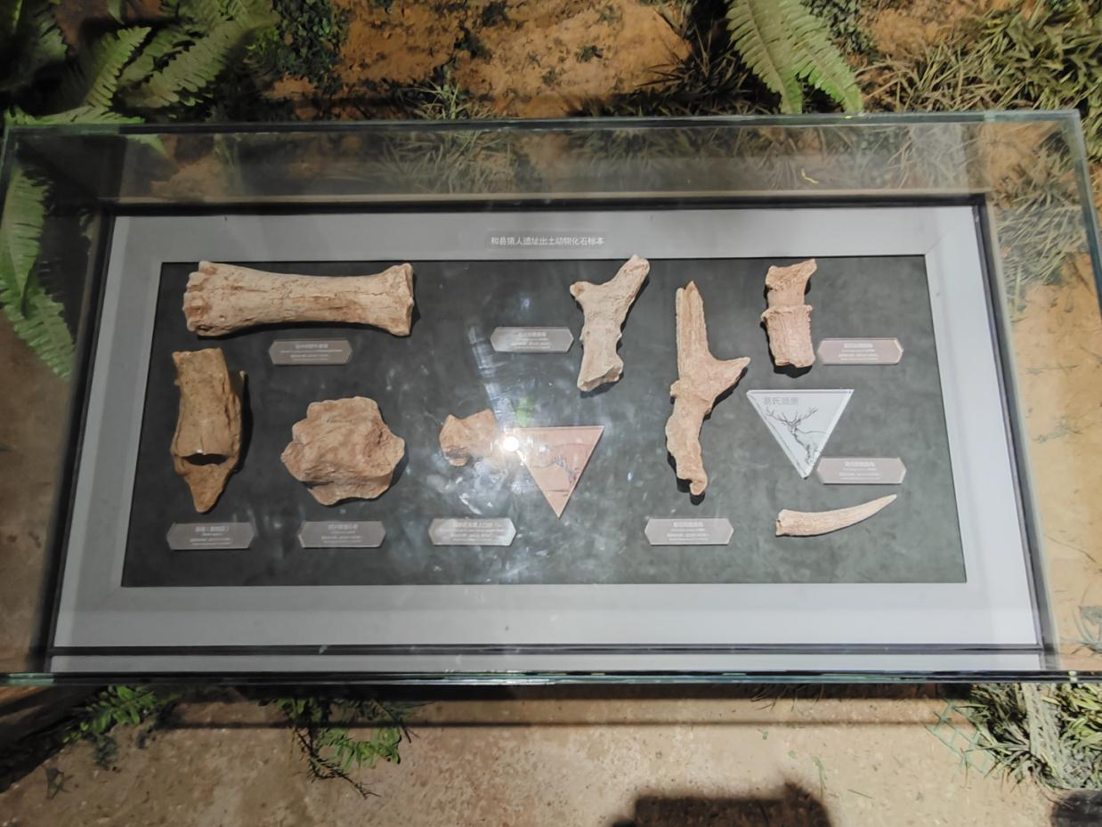 巢湖学院：探秘马鞍山博物馆：穿越时光的文化之旅