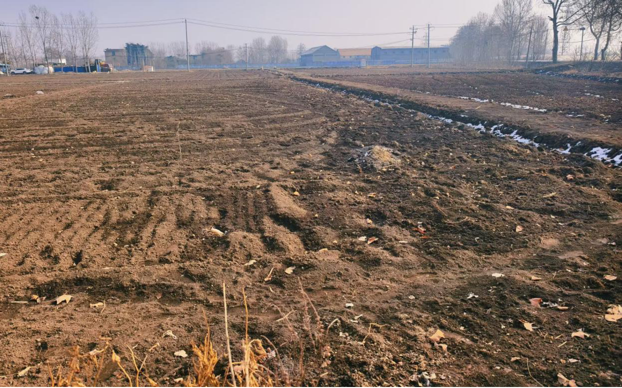 曲阜师范大学：深耕黄河滩区，探寻农业发展新路径