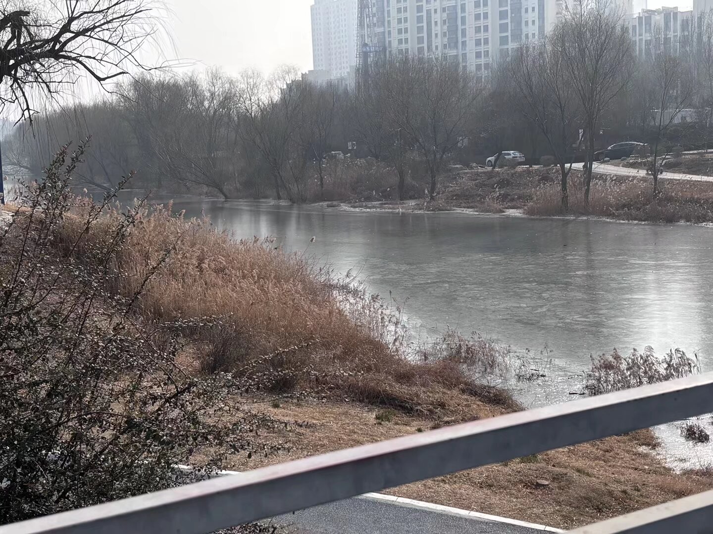 曲阜师范大学：破解耕碎桎梏，赋能黄河农兴
