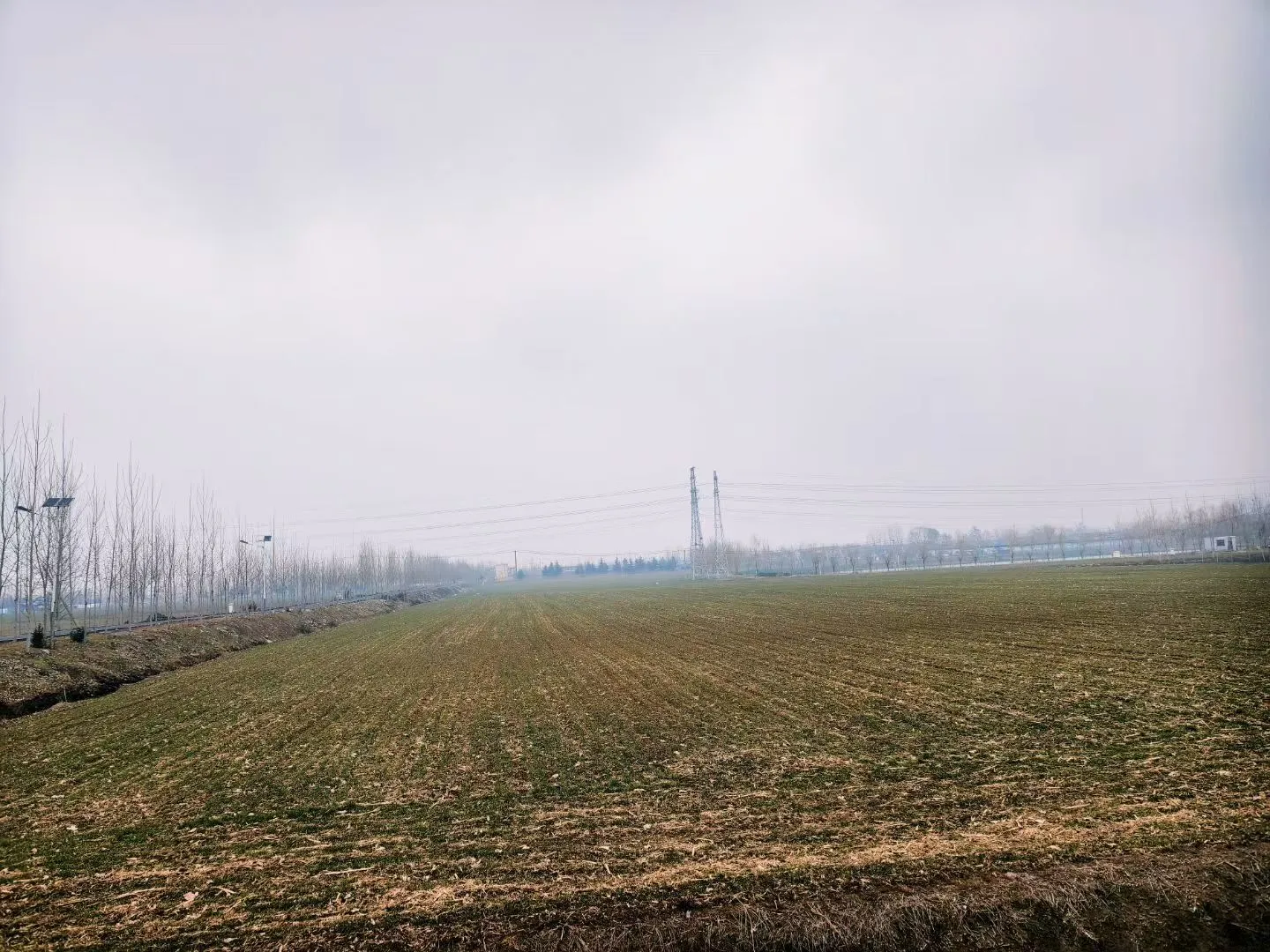2026030114545327