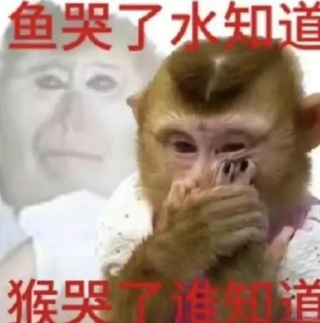 被快手砸了5.7亿的A站,成了沉默的“赛博坟场”。