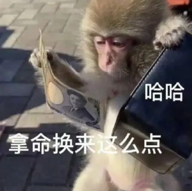被快手砸了5.7亿的A站,成了沉默的“赛博坟场”。
