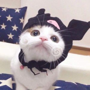 心想事成的头像